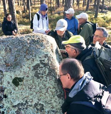 Lavutflykt till Lapplands naturreservat Bengt Stridh Den 4 oktober 2015 gjorde föreningen utflykten Lavar från början till Lapplands naturreservat i Skinnskatebergs kommun.