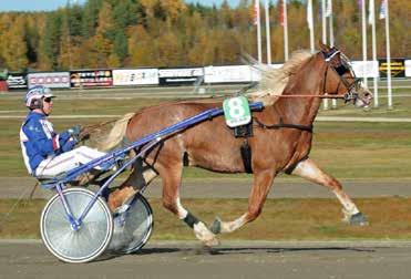 RIKARD LINDH NY GÄVLETRÄNARE 37-årige proffstränaren Rikard Lindh köpte för några månader sedan Gerth-Ove Karlssons gamla gård i Klockarbo och efter en hel del renovering flyttade han 11 september