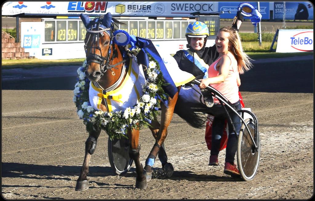 Denna ponny fortsätter att dundra fram på travovalerna. Vinst i några av de tyngsta loppen under året.