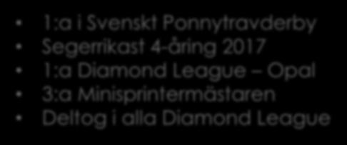 1:a i Svenskt Ponnytravderby