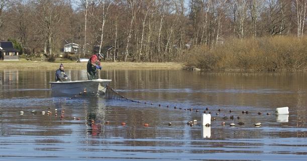 Utveckling och genomförande av vårdfiske och fiskevård i Finjasjön och Bosarpasjön RAPPORT FRÅN VERKSAMHETEN UNDER 2012 Ett projekt finansierat av Leader Lag PH, LOVA och FFF Detta projekt startade