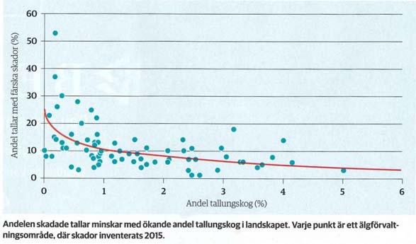 Metoder för att skapa mera foder (till hjortdjur) i skogsbruket: Förkortade omloppstider ger oftare ungskogar Intensiv markberedning gynnar föryngring av foderväxter Föryngring med tall på tallmark