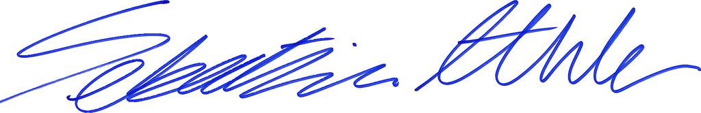 PRESTANDADEKLARATION Nr: 969002 10.