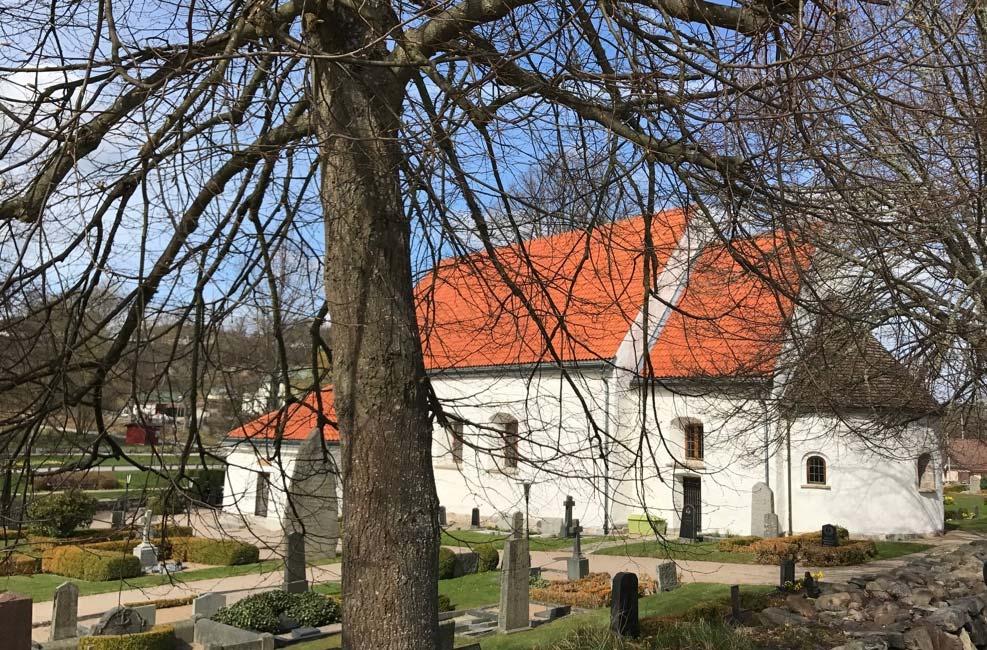 3.1.4 Tak Takkonstruktionen bärs upp av takstolar längs kortsidorna av kyrkväggarna.