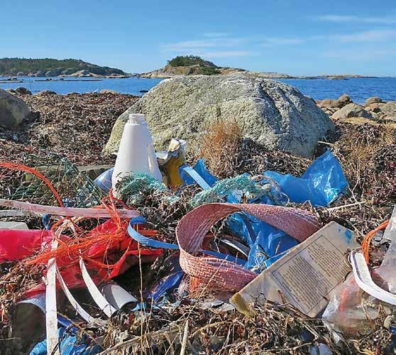 Nu sjösätts Optimist för havet Om 30 år kan det finnas mer plast än fisk i haven om inget görs.
