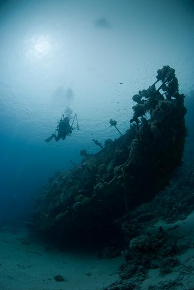 Om resan Datum: 24 oktober 3 november, 2015 Liveaboard: Nautilus Swell Rutt: The Best of British Columbia Port Hardy till Campbell River Inkluderat I priset: Grupptransfer Vancouver flygplats Port