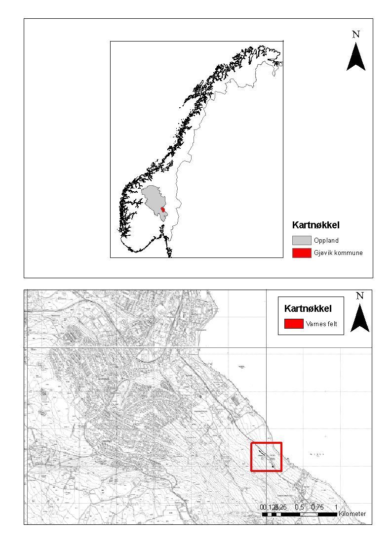 1. Vårnes