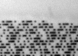 6microns Track