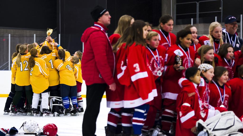 Istidsbehov och nästa steg Avgiftsprinciper Svenska Ishockeyförbund anser att möjligheterna för att utöva flera olika idrotter så långt möjligt ska vara kostnadsneutrala samt att avgifterna för att