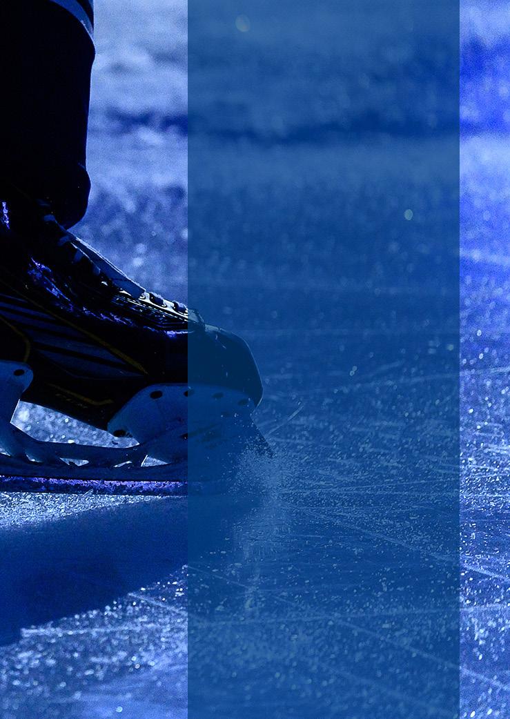Dessa riktlinjer ska ses som vägledning för ishockeydistrikt, föreningar, kommuner, och andra intressenter
