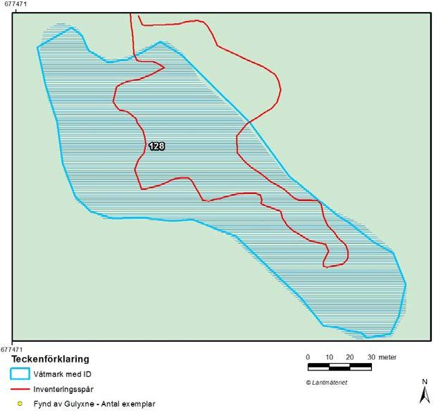 4 31. Våtmark 128. Ingen gulyxne hittades 2013.