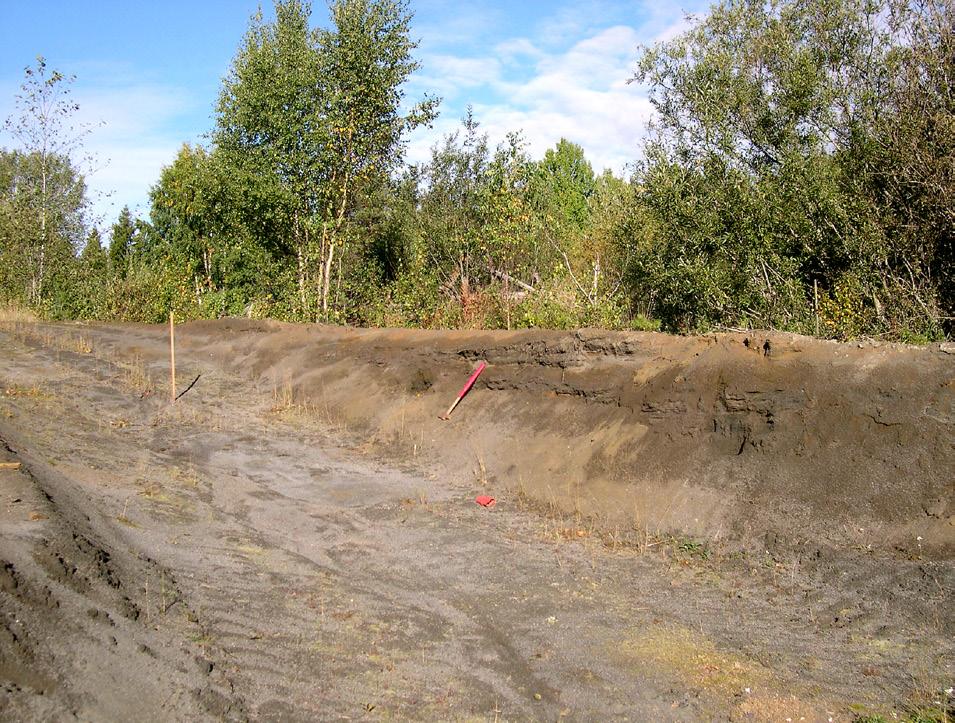 Gruvavfall i Sverige Mining waste in Sweden Mineral har brutits i Sverige i över 1 år, och gruvdrift ger oundvikligen upphov till gruvavfall.