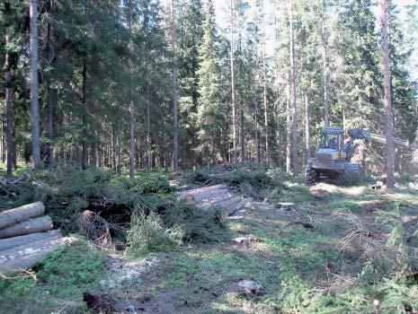 Utvärdering av ett system för beräkning och geogra sk visualisering av avverkade kvantiteter skogsbränsle Björn Hannrup, Johan J.