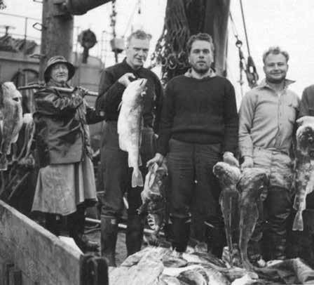 ... mer än 130 års erfarenhet Utbudet har skiftat i takt med tiderna, men bestående genom åren är hög och jämn kvalitet