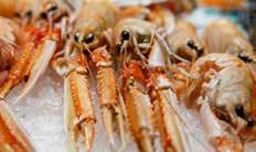 Frysta skaldjur & blötdjur Art Nr FRYSTA SKALDJUR Krt 21403 Blåmusslor Kokta 1000g 1 Chile 20301 Crabfishflakes 1000g 1 Thailand 21779 Gambas hela 10/20 2000g 1 Argentina 20701 Gröna musslor NZ 1000g