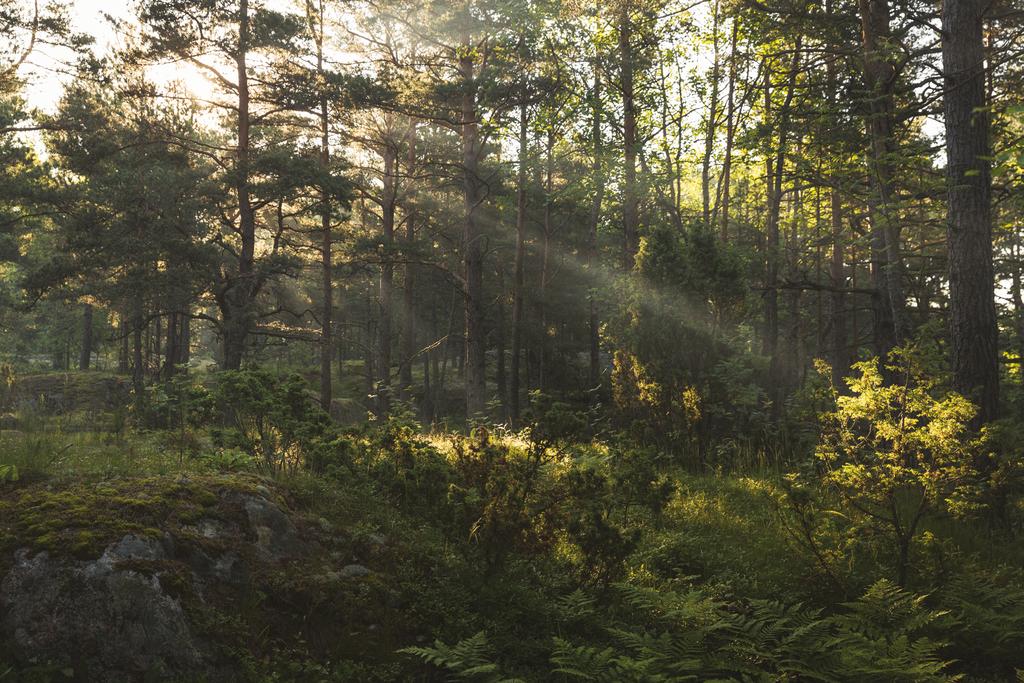 ETT GOTT SAMHÄLLSKLIMAT ÄR GRUNDEN TILL ETT VÄLMÅENDE FINLAND.