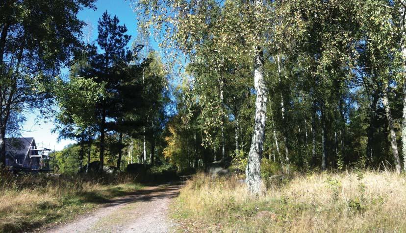 Trafik Planområdet trafikmatas via Västerled och Holmavägen. I planområdets södra del är gatorna fullt utbyggda.