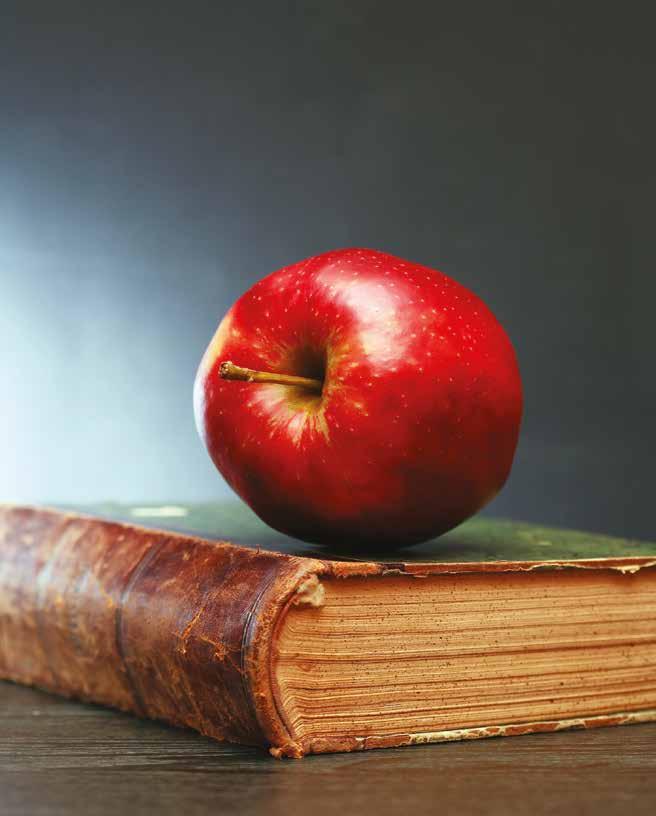 RAPPORTER OCH PUBLIKATIONER FRÅN HÖGSKOLAN I BORÅS
