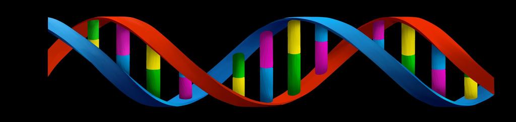 EMAINTENANCE DNA A