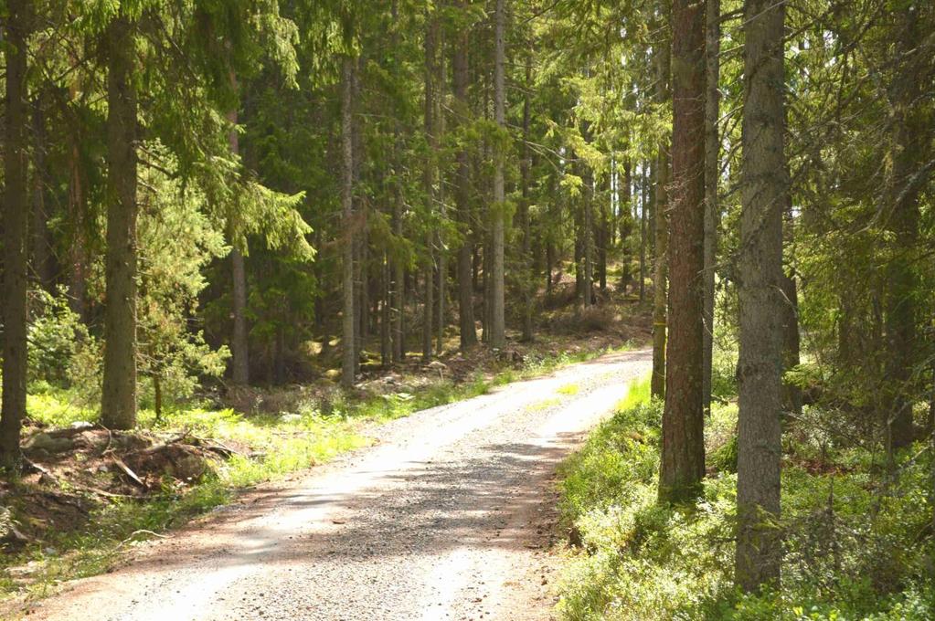 Skog i huggningsklasserna S1/S2 ca 1 900 m3sk. Inägomark och övrig mark ca 0,7 ha. Jakt och fiskerätt.