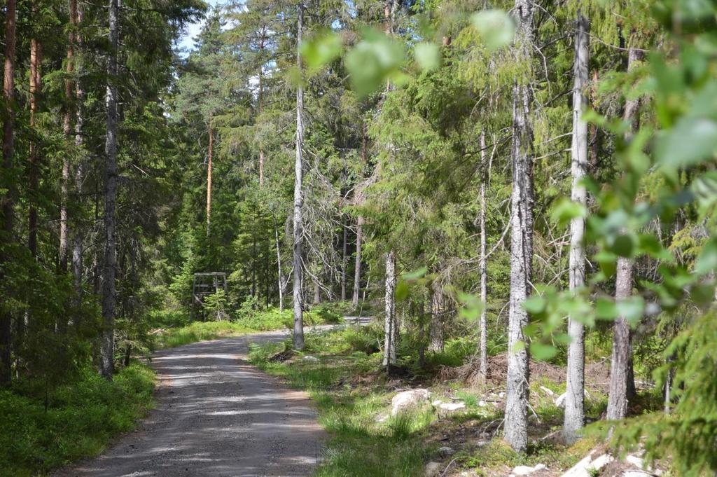 Om Skog & Lantbruk Skog & Lantbruk är ett rådgivningsföretag som arbetar med följande tjänster: - Fastighetsförmedling - Generationsskifte - Marknads-/avkastnings-/intrångsvärderingar -