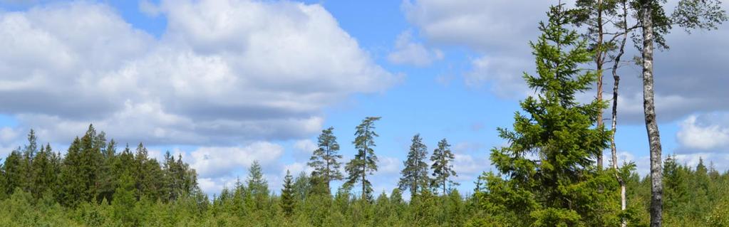 Summa areal enligt fastighetstaxering: 21 ha. Summa areal enligt Skogsbruksplan: 20,7 ha.