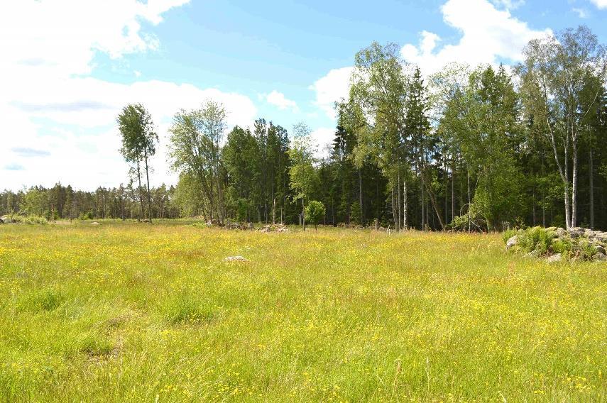 Se vidare bifogade utdrag ur skogsbruksplanen. Åker och betesmark (Inägomark) Inägomarken bedöms enligt skogsbruksplanen till ca 0,4 ha.