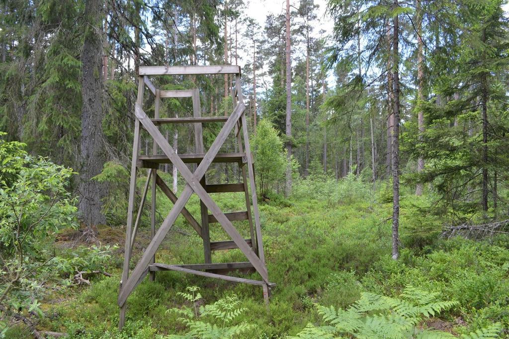 Övrigt Natur och kultur Ingen nyckelbiotop finns registrerad på fastigheten, Källa: Skogens Pärlor, Skogsstyrelsen.