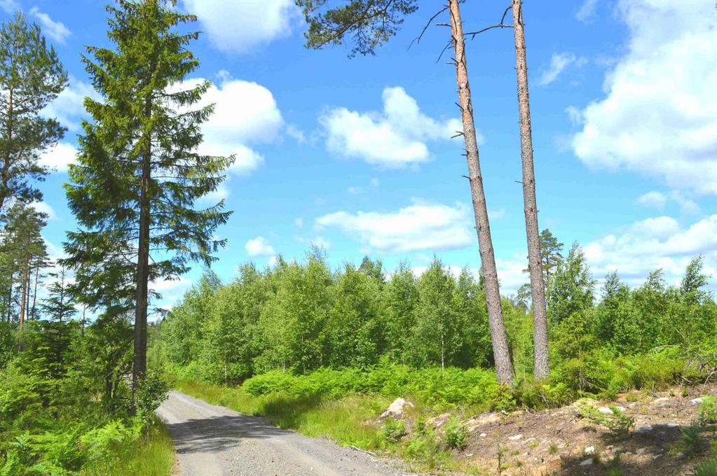 Förfarande Egendomen säljs via anbud som ska vara mäklaren tillhanda senast 2017-09-20. Märk anbudet Bromåla, till detta skall bankreferens eller motsvarande lämnas.
