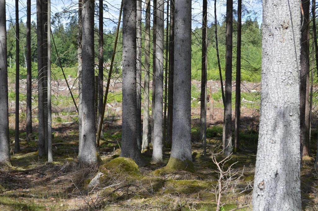 Förvärvstillstånd Förvärvstillstånd krävs ej för person som varit bosatt minst ett år inom församlingarna Göteryd, Hallaryd, Härlunda, Pjätteryd, Stenbrohult och Virestads församling i Älmhults