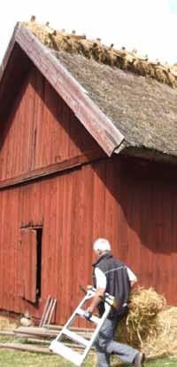 byggnadsvård Långmaren Långmaren 1:1, Västerljungs socken, Trosa kommun,