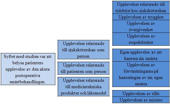 Figur 1. Översikt av syfte, kategorier och underkategorier.