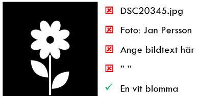 Webbutveckling Sida 302 / 306 Använd text som är synlig för alla om det passar, eller html-attribut som till exempel alt och aria-label för kortfattade beskrivningar.