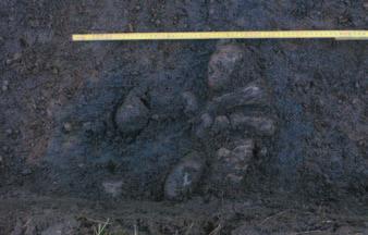 Kol från anläggning 9 har daterats till 3249±40 BP, vilket motsvarar cirka 1500 fkr, eller äldre bronsålder. Resultaten framgår av tabell illustration 19. Illustration 16.