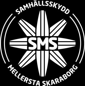 Handlingsplan SMS 2018-2019, Bilaga 4 Bilaga 4, Riskanalys Analys av bakgrundsfaktorer, olyckor