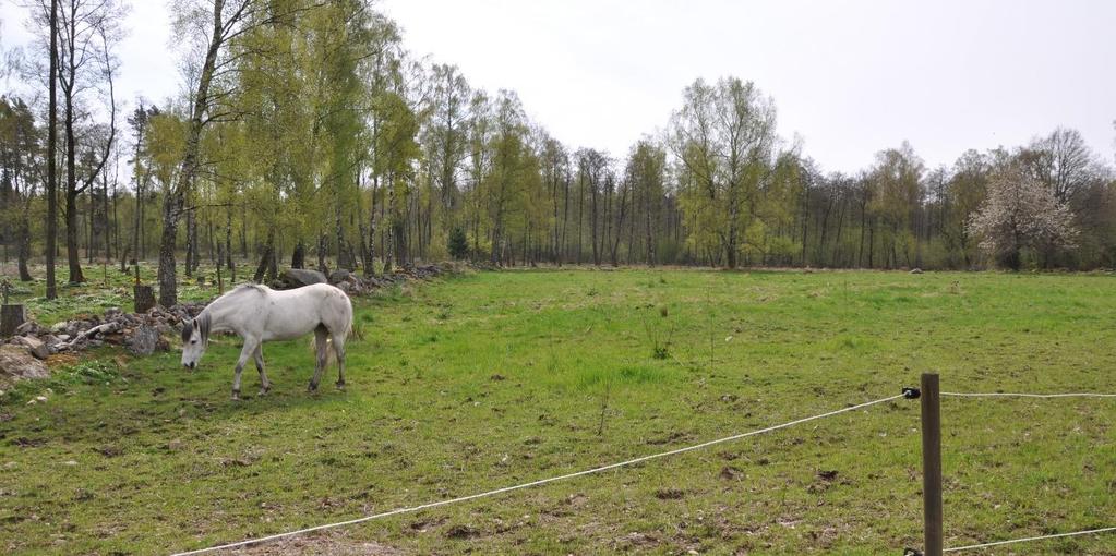 Rättsförhållanden Fastighet Fastighetsbeteckningen för stamfastigheten är Höör Sätofta 8:9 del av och fastigheten är belägen i Höörs kommun, Bosjöklosters församling.