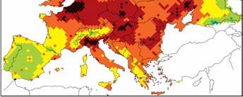 i ett större sammanhang som då rör klimat och långsiktigt utnyttjande av naturresurser som skog