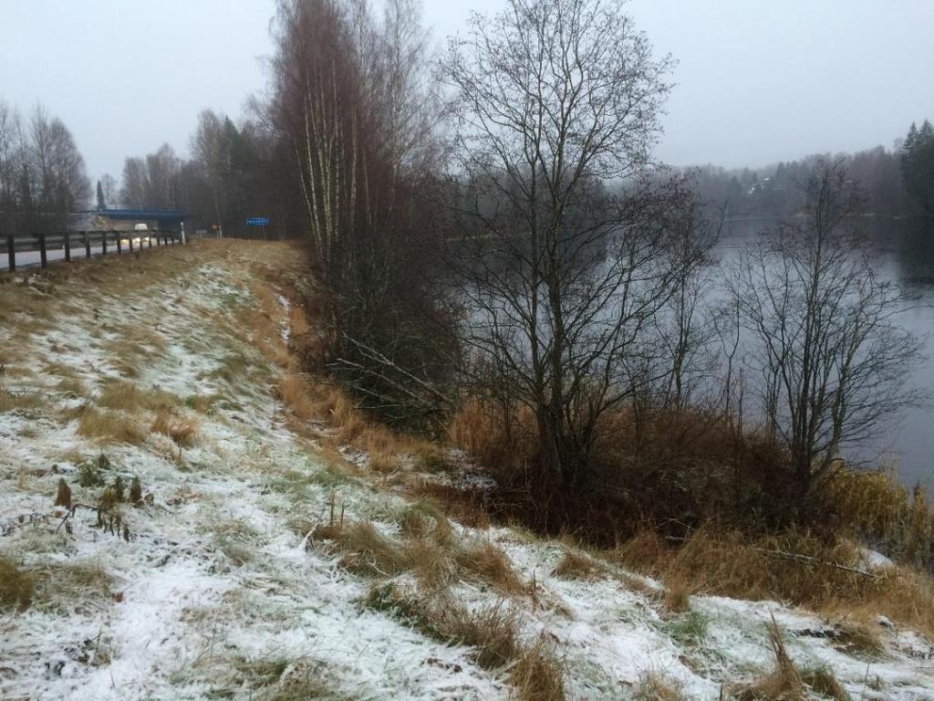 Figur 3. Brant slänt ned mot Dalälven i Duvnäs som behöver erosionsskyddas. 5.2.