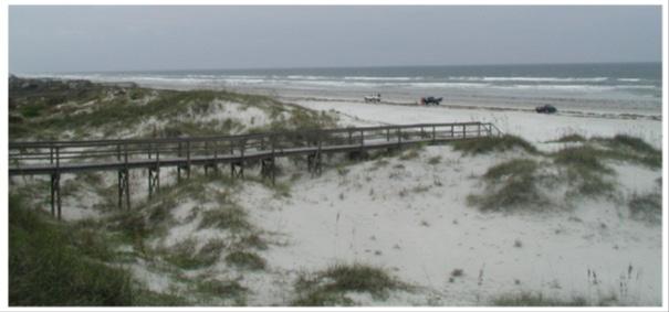 Klitterövergångar Redan innan stormen första advent var slitageskadorna från strandbesökare påtagliga på klitterna. De skador som stormen orsakade var även som störst vid nedgångar till stranden.