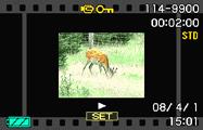 Visning av stillbilder och filmer Visning av stillbilder Vi hänvisar till sidan 21 angående tillvägagångssätt för visning av stillbilder. Visning av en film 1.