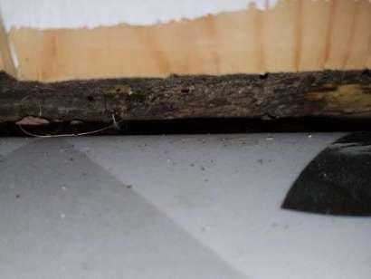 Plintgrund Plintgrunden har ej kunnat besiktigats pågrund av för lågt utrymme. En kompletterande besiktning rekommenderas när denna är åtkomlig. Invändigt Övre plan / Allrum Inget att notera.