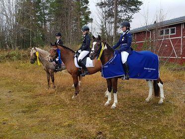 Unni Ragnarsson kvalade under året sin hemmauppfödda 6-åring Northern Comme Plot till Breeders Throphy som varje höst samlar Sveriges bästa unghästar på Flyinge i Skåne.