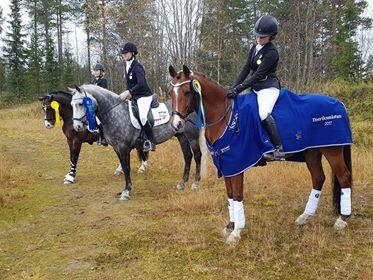 DISTRIKTSMÄSTERSKAP Distriktsmästerskapet i ponnydressyr avgjordes hos Ridklubben Dundret den 7-8 oktober, och visade upp ett lite tunt deltagande för de olika ponnykategorierna.