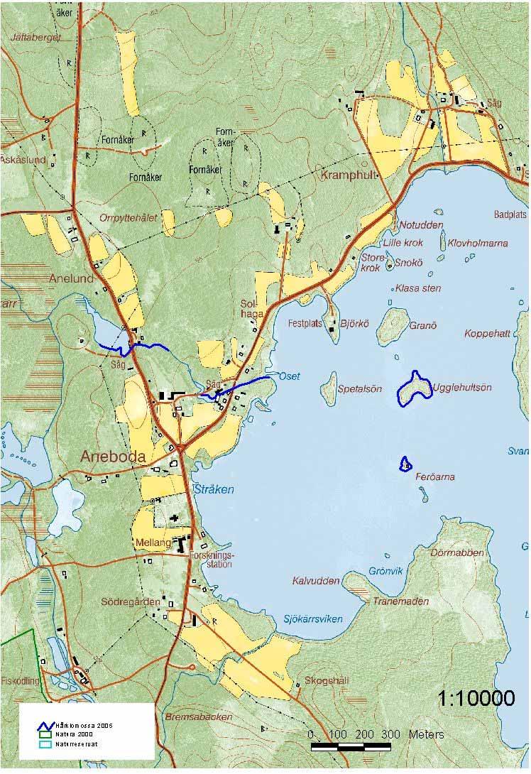 Område 2/ Norra Stråken Vitala populationer Sid 12