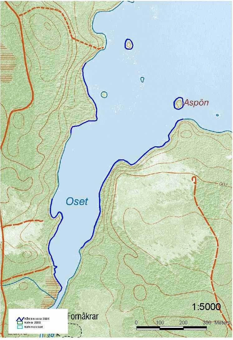 Område 2/ Södra Stråken Vitala populationer LÄNSSTYRELSEN