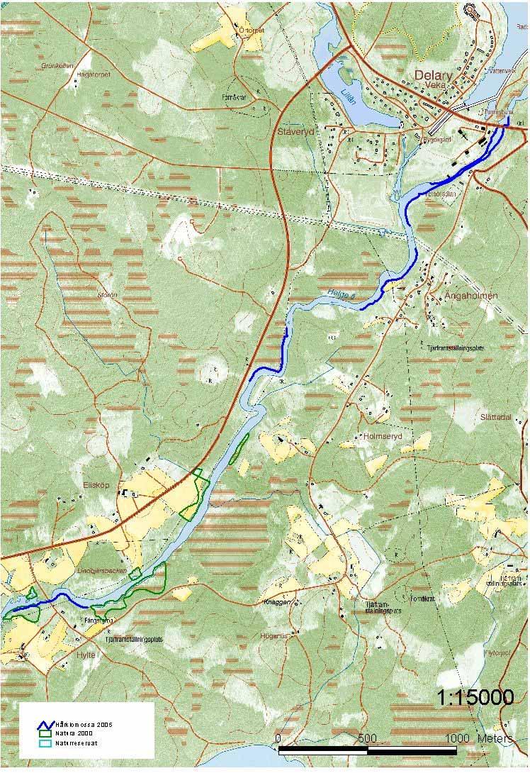 Område 4/Helge å, del 1, Delary Elisköp Vitala populationer Sid 16