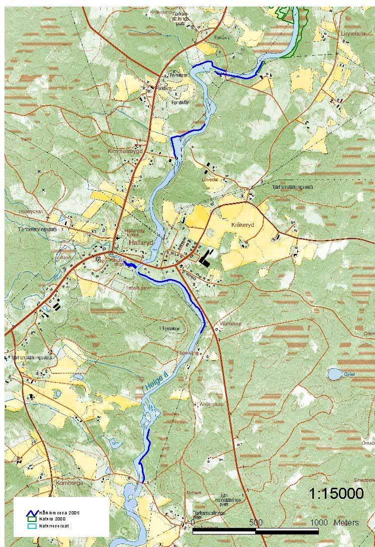 Område 4/Helge å, del 2, Kroksbygd - Hallaryd Vital population