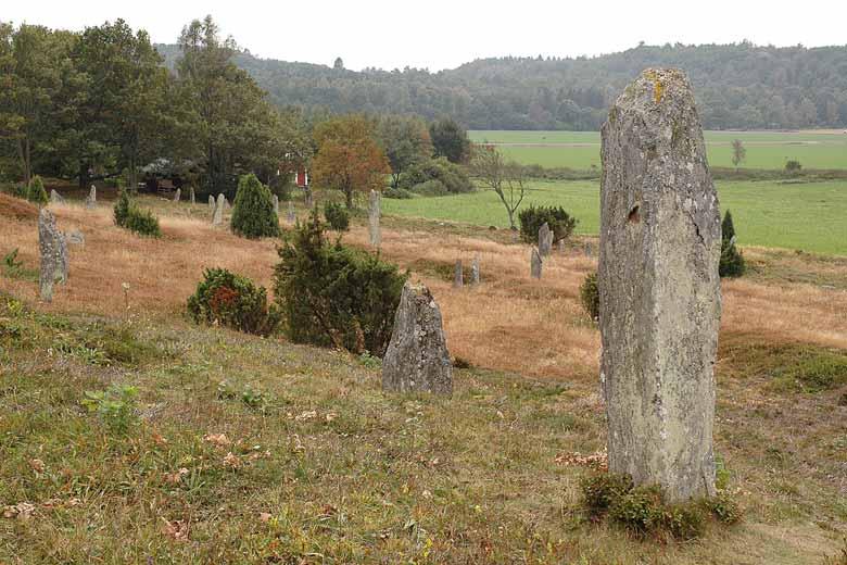 Hallands län Appendix 6. Lavfloran på gravfältet i Fjärås Bräcka 2005 Undersökningen gjordes 2005 och är fristående från den omfattande inventering som utfördes 2001 2003.