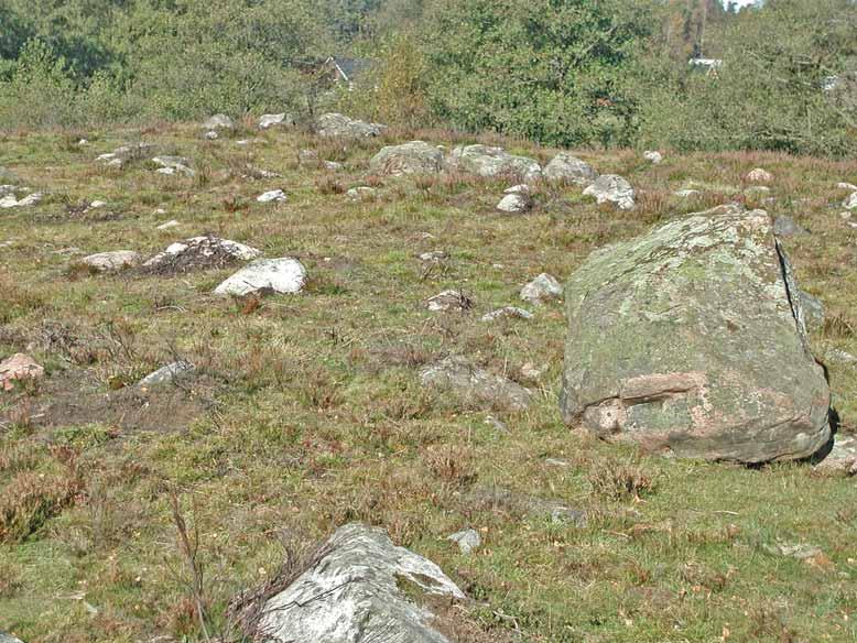 Mark- och stenlevande lavar Fig. 13. För södra Halland typiska betesmarker med ljungvegetation och spridda silikatblock. Bölarp. fläckvis går även berget i dagen.