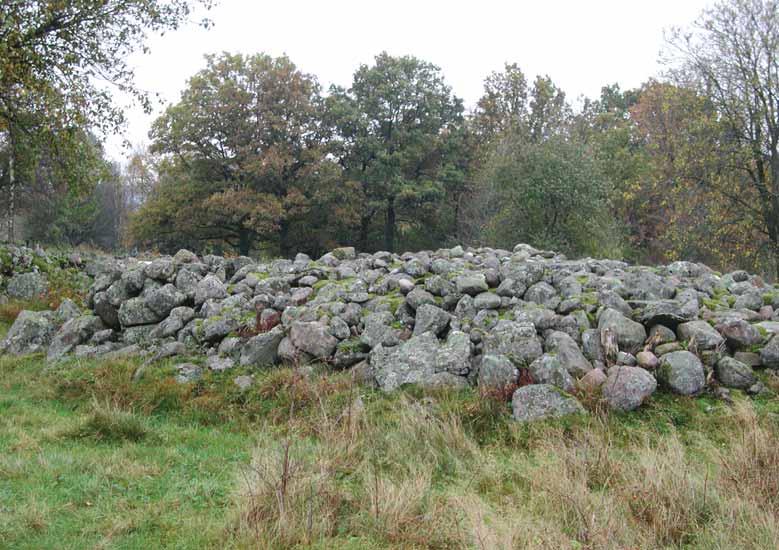 Hallands län Fig. 14. Vid många av de gamla gårdarna i Hallands län finner man ofta fina stenrösen fulla av arter. I Yttra Berg hittades t.ex. Lecanora caesiosora på en av sina få lokaler.